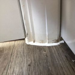 Wall Of Shame svg+xml,%3Csvg%20xmlns%3D%22http%3A%2F%2Fwww.w3 - Wall Of Shame