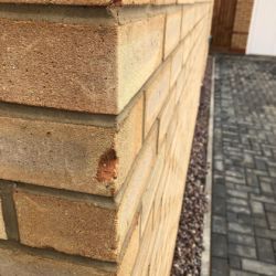 Wall Of Shame svg+xml,%3Csvg%20xmlns%3D%22http%3A%2F%2Fwww.w3 - Wall Of Shame