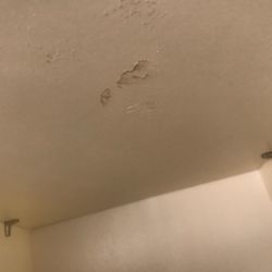 Wall Of Shame svg+xml,%3Csvg%20xmlns%3D%22http%3A%2F%2Fwww.w3 - Wall Of Shame