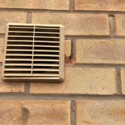 Wall Of Shame svg+xml,%3Csvg%20xmlns%3D%22http%3A%2F%2Fwww.w3 - Wall Of Shame