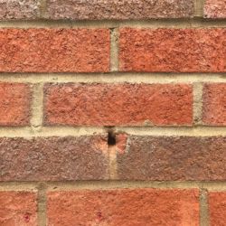 Wall Of Shame svg+xml,%3Csvg%20xmlns%3D%22http%3A%2F%2Fwww.w3 - Wall Of Shame