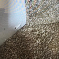 Wall Of Shame svg+xml,%3Csvg%20xmlns%3D%22http%3A%2F%2Fwww.w3 - Wall Of Shame