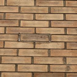 Wall Of Shame svg+xml,%3Csvg%20xmlns%3D%22http%3A%2F%2Fwww.w3 - Wall Of Shame