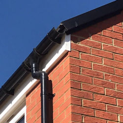 Wall Of Shame svg+xml,%3Csvg%20xmlns%3D%22http%3A%2F%2Fwww.w3 - Wall Of Shame