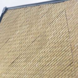 Wall Of Shame svg+xml,%3Csvg%20xmlns%3D%22http%3A%2F%2Fwww.w3 - Wall Of Shame